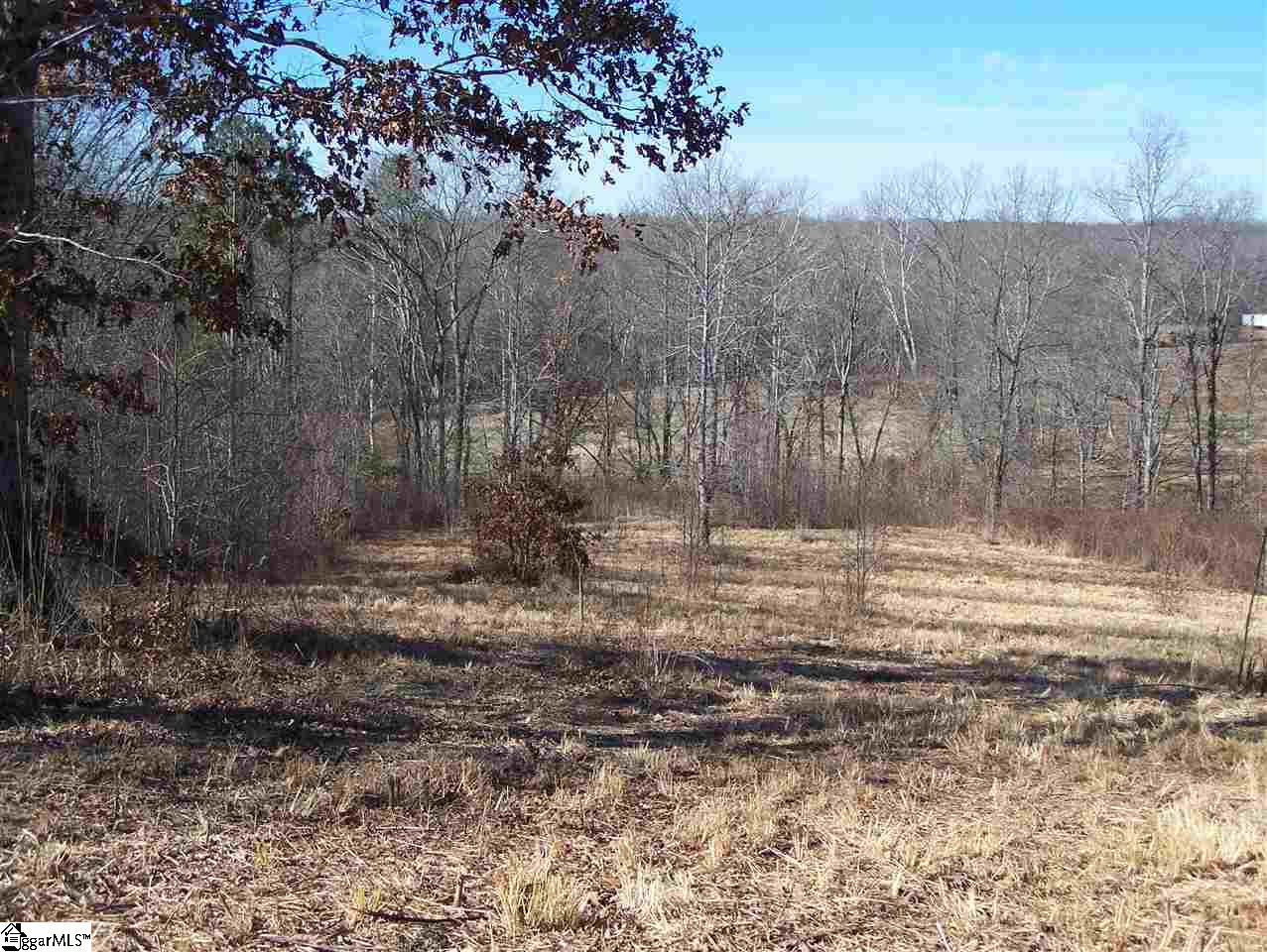 Stewart Dairy Road Fountain Inn, SC 29644 - Photo 17 of 36 Gallery Image 17