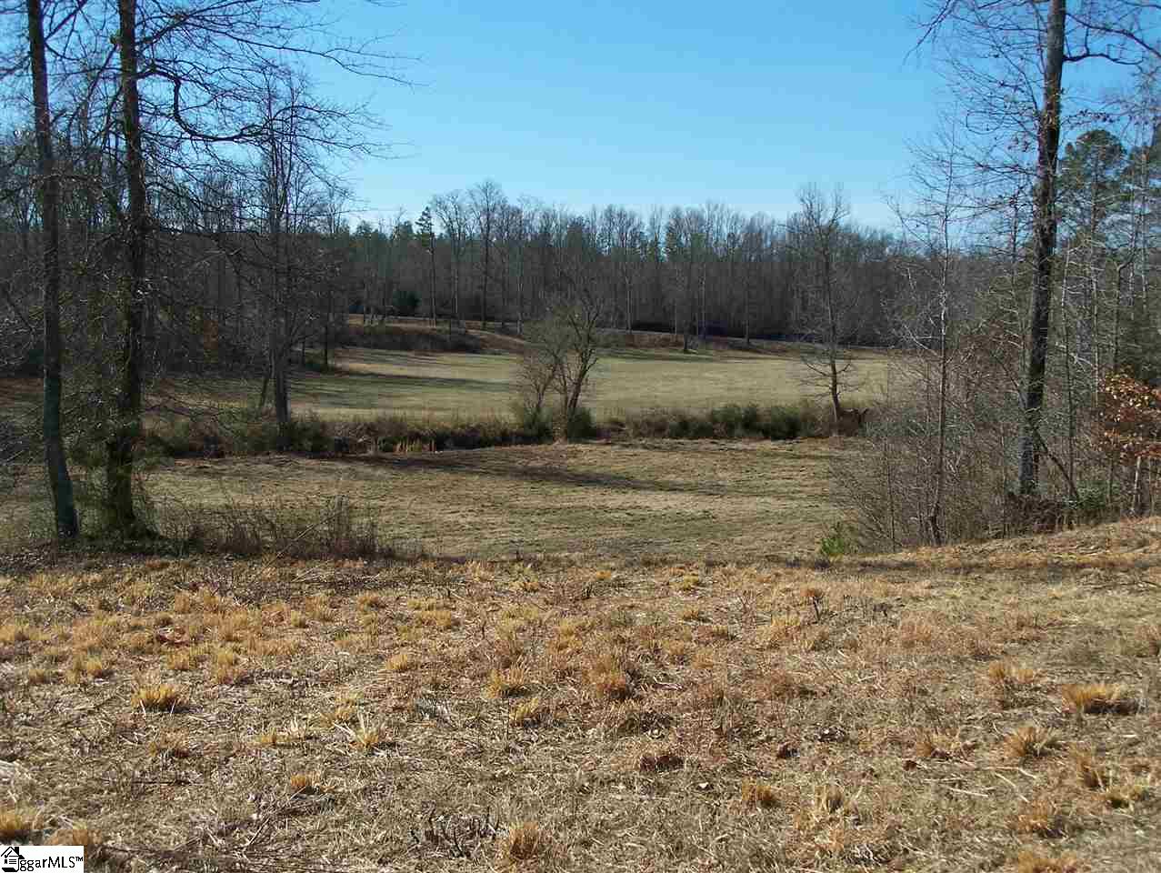 Stewart Dairy Road Fountain Inn, SC 29644 - Photo 18 of 36 Gallery Image 18