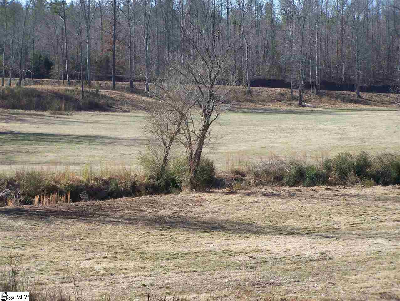 Stewart Dairy Road Fountain Inn, SC 29644 - Photo 19 of 36 Gallery Image 19