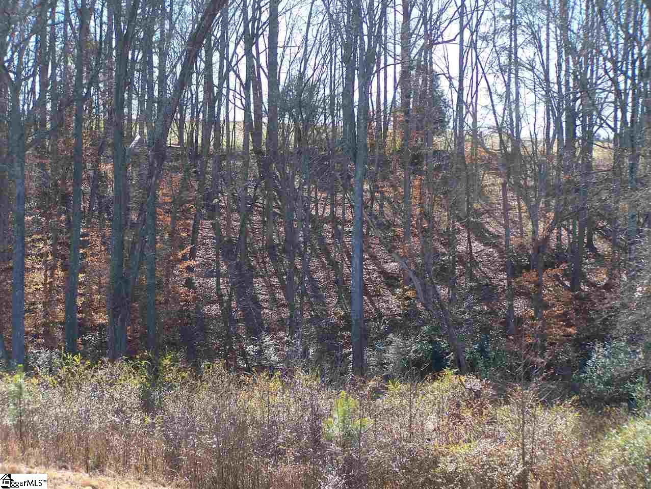 Stewart Dairy Road Fountain Inn, SC 29644 - Photo 20 of 36 Gallery Image 20