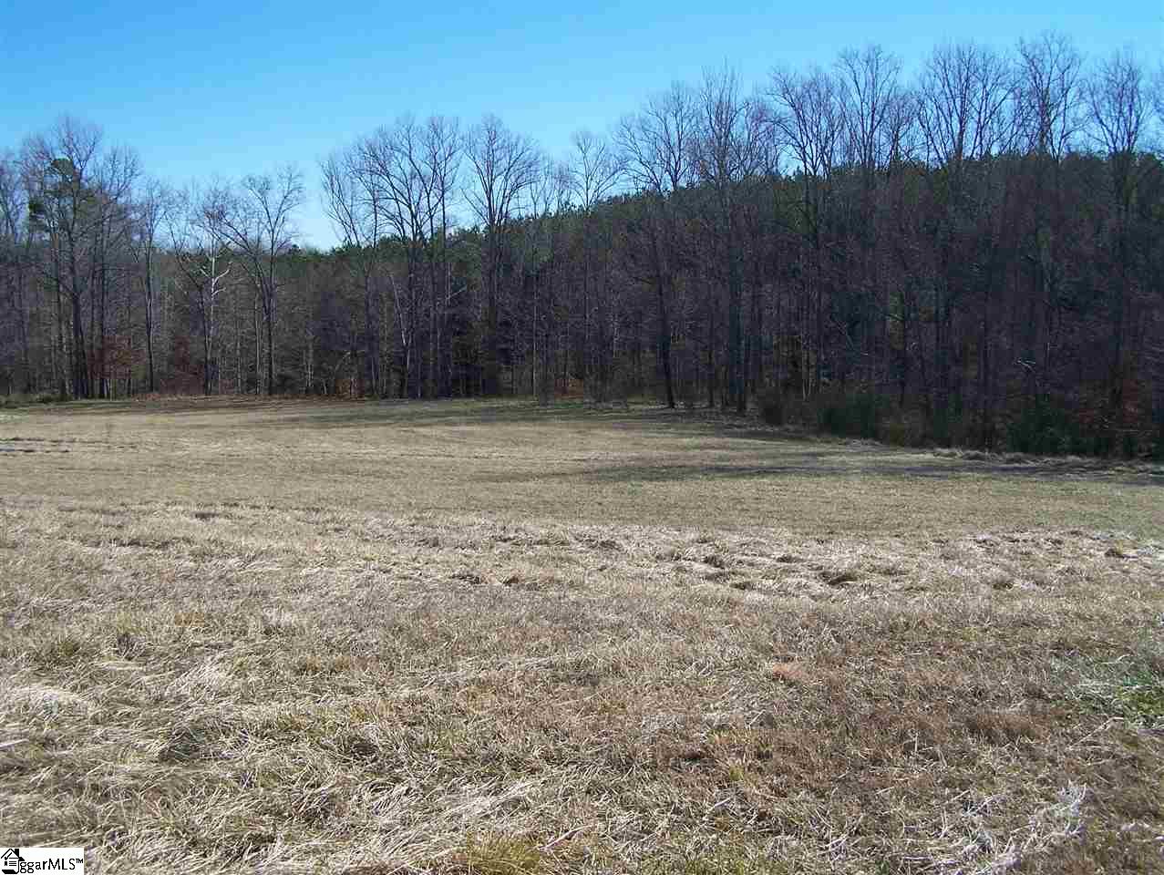 Stewart Dairy Road Fountain Inn, SC 29644 - Photo 3 of 36 Gallery Image 3
