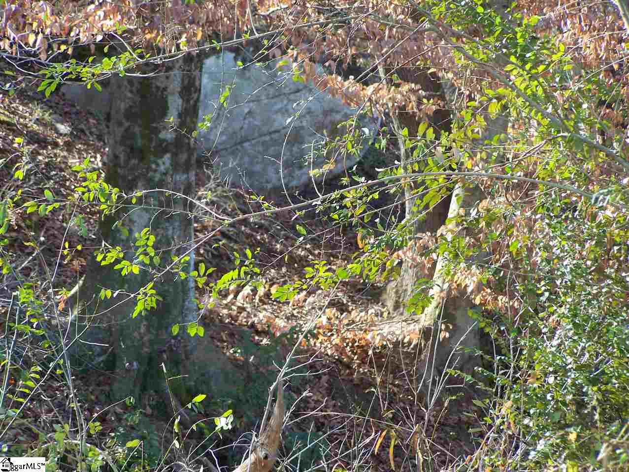 Stewart Dairy Road Fountain Inn, SC 29644 - Photo 22 of 36 Gallery Image 22