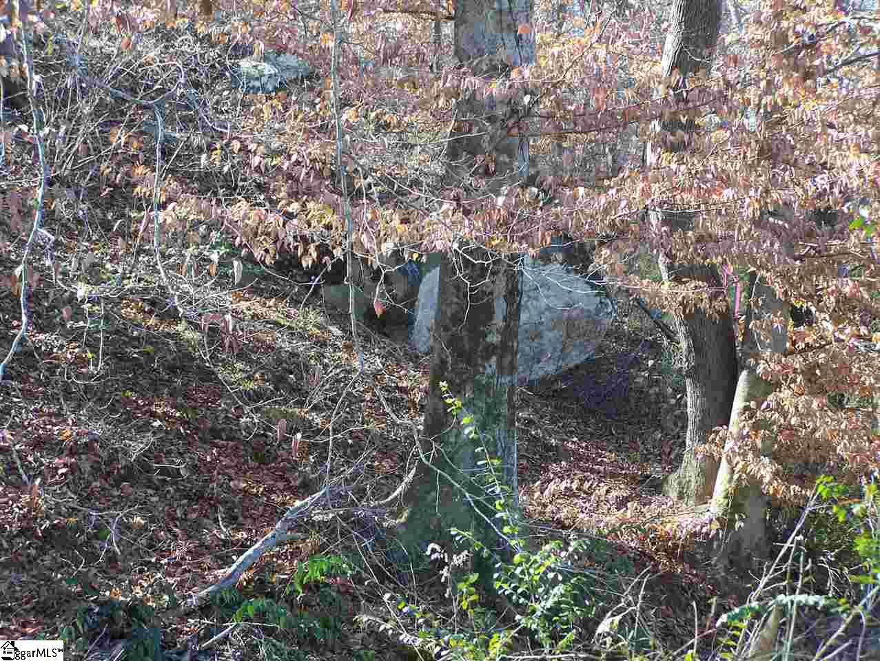 Stewart Dairy Road Fountain Inn, SC 29644 - Photo 23 of 36 Gallery Image 23