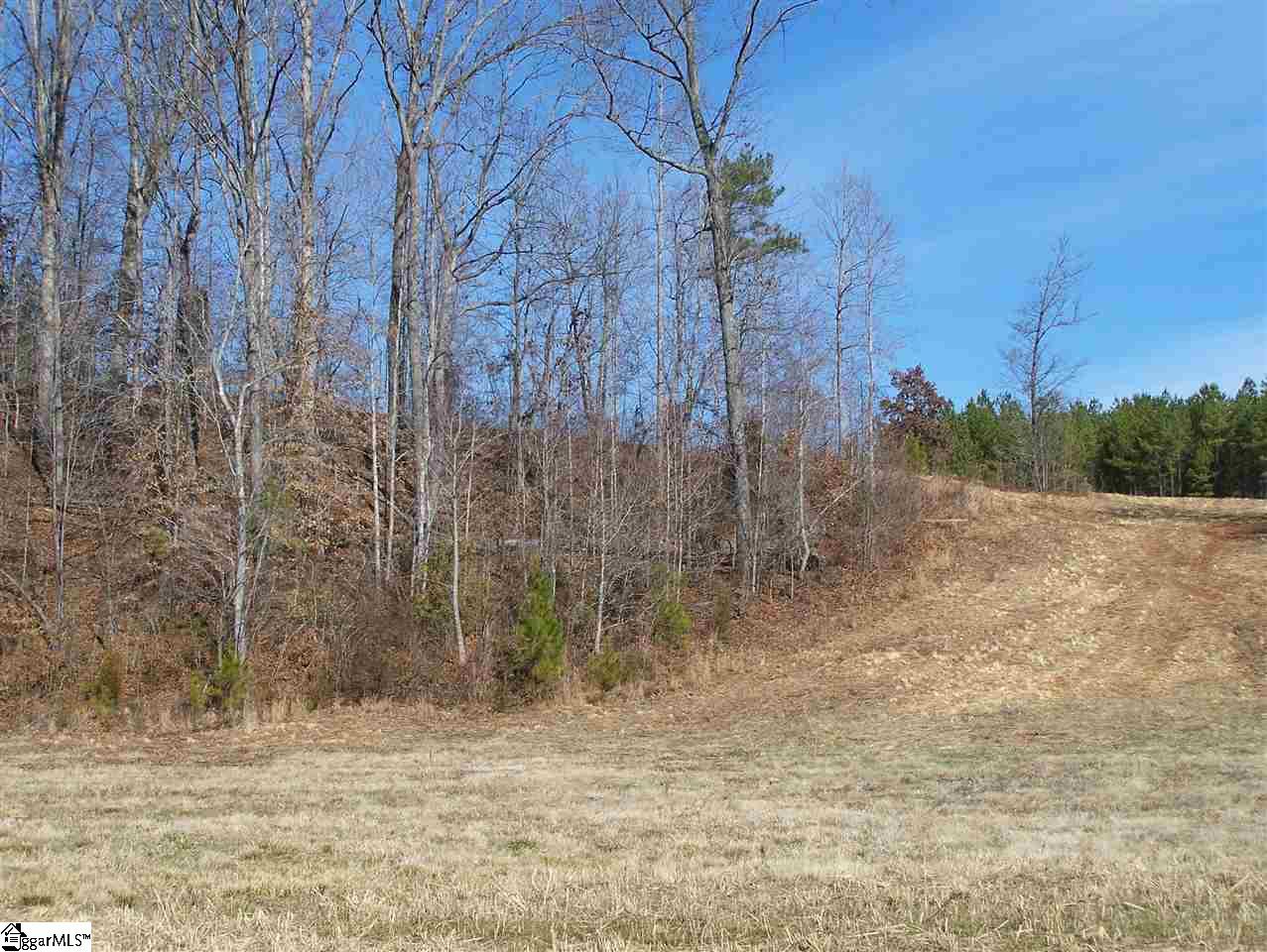 Stewart Dairy Road Fountain Inn, SC 29644 - Photo 24 of 36 Gallery Image 24