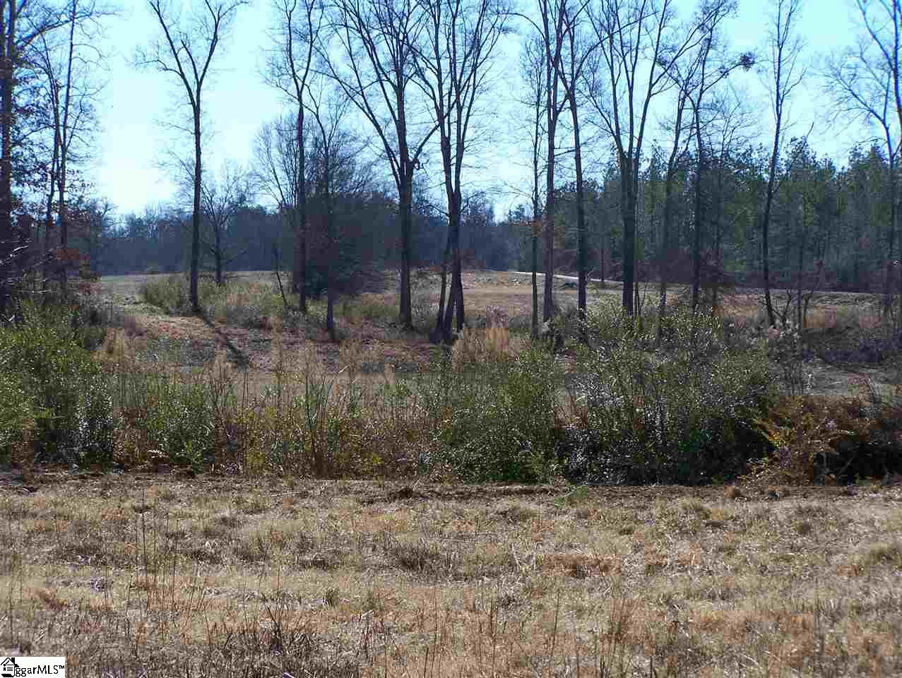 Stewart Dairy Road Fountain Inn, SC 29644 - Photo 28 of 36 Gallery Image 28