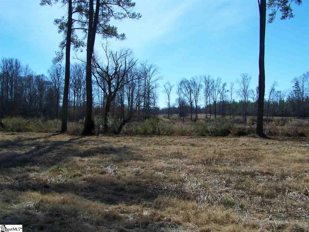 Stewart Dairy Road Fountain Inn, SC 29644 - Photo 29 of 36 Gallery Image 29