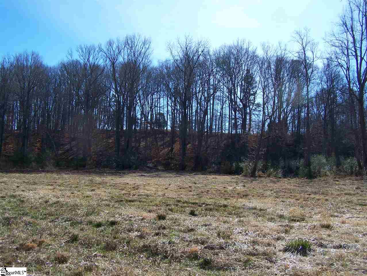 Stewart Dairy Road Fountain Inn, SC 29644 - Photo 30 of 36 Gallery Image 30