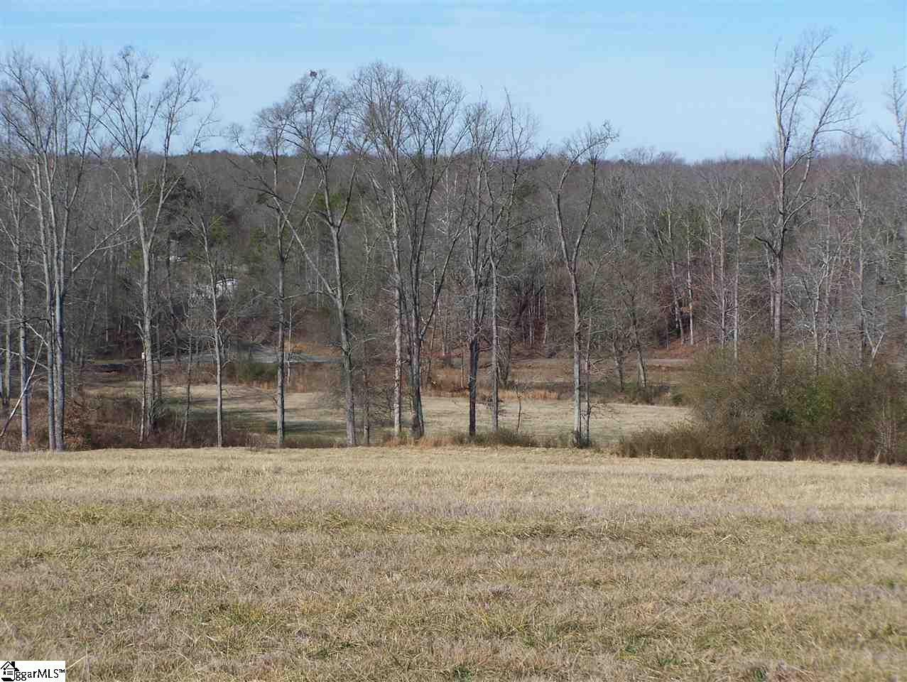 Stewart Dairy Road Fountain Inn, SC 29644 - Photo 4 of 36 Gallery Image 4