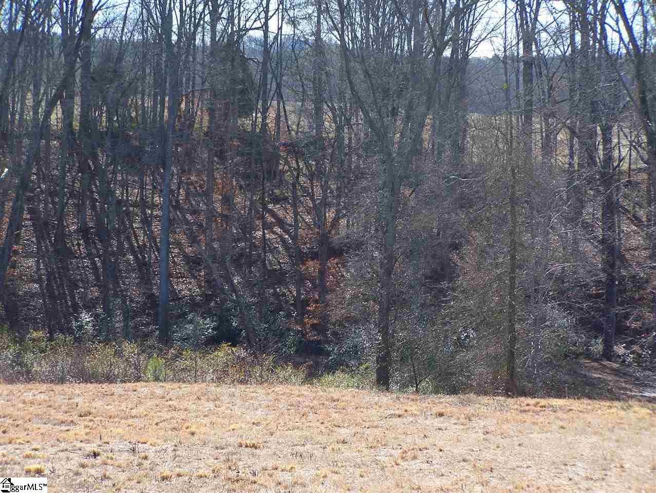 Stewart Dairy Road Fountain Inn, SC 29644 - Photo 32 of 36 Gallery Image 32