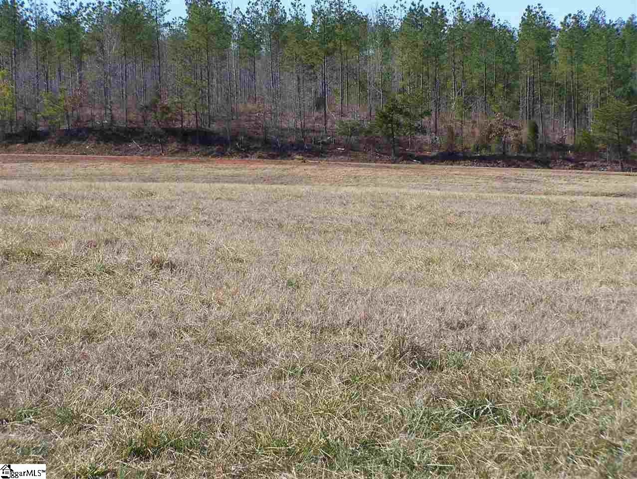 Stewart Dairy Road Fountain Inn, SC 29644 - Photo 5 of 36 Gallery Image 5