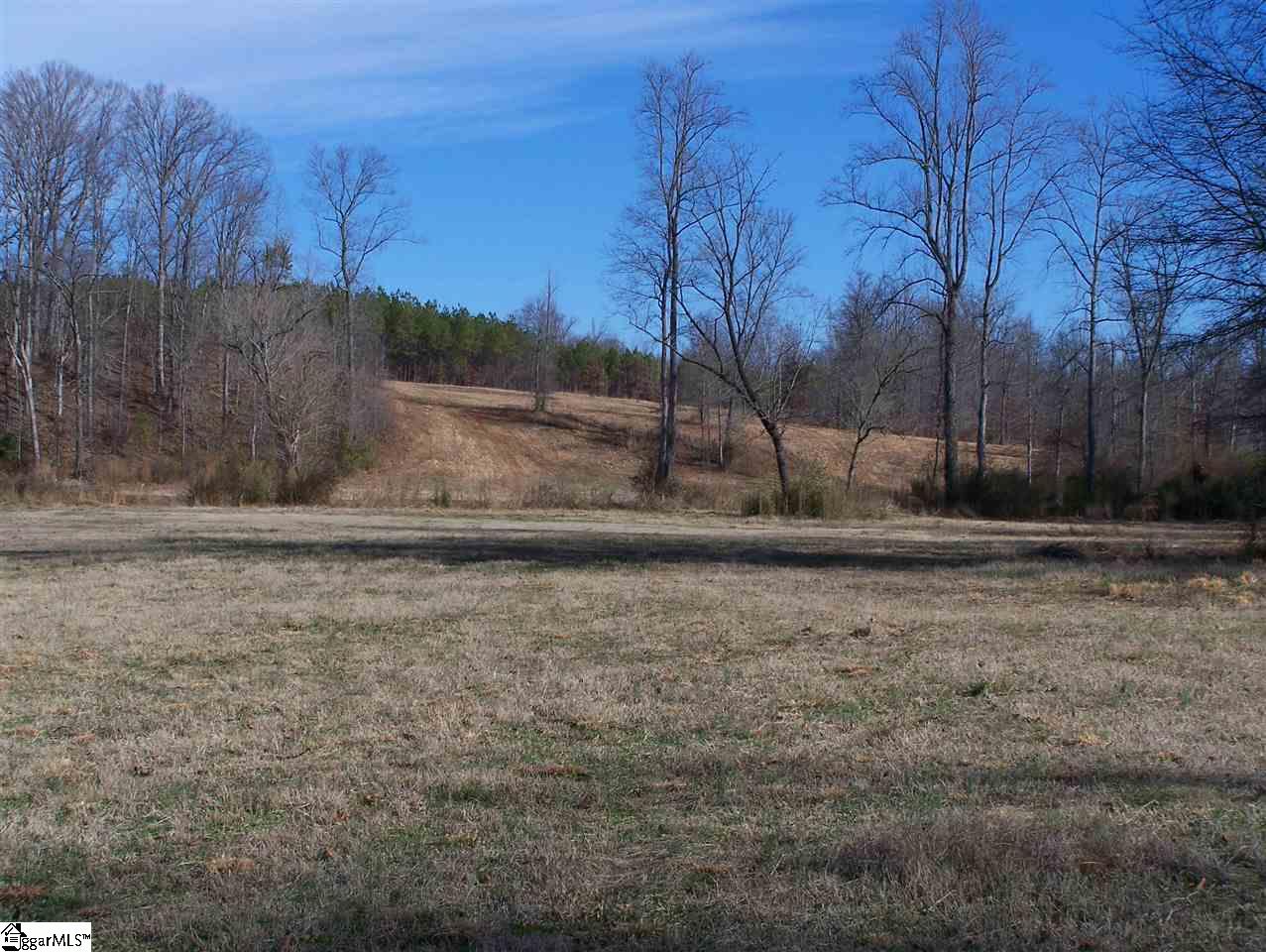 Stewart Dairy Road Fountain Inn, SC 29644 - Photo 6 of 36 Gallery Image 6