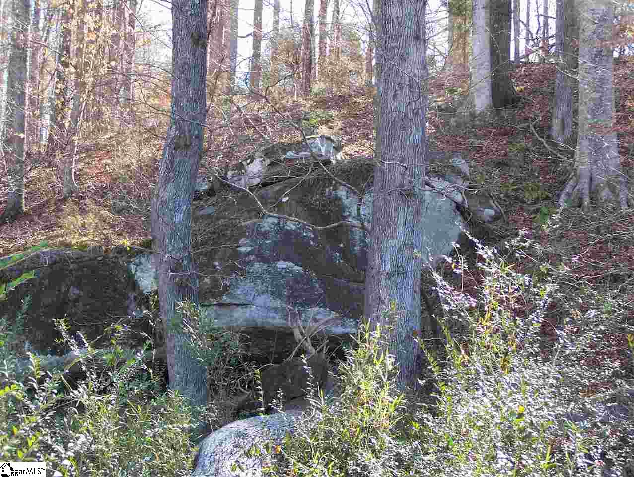 Stewart Dairy Road Fountain Inn, SC 29644 - Photo 7 of 36 Gallery Image 7