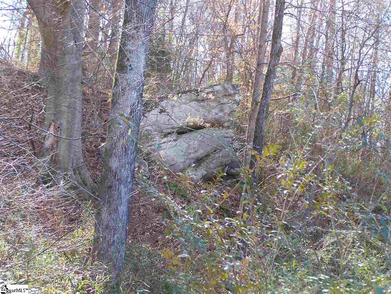 Stewart Dairy Road Fountain Inn, SC 29644 - Photo 8 of 36 Gallery Image 8