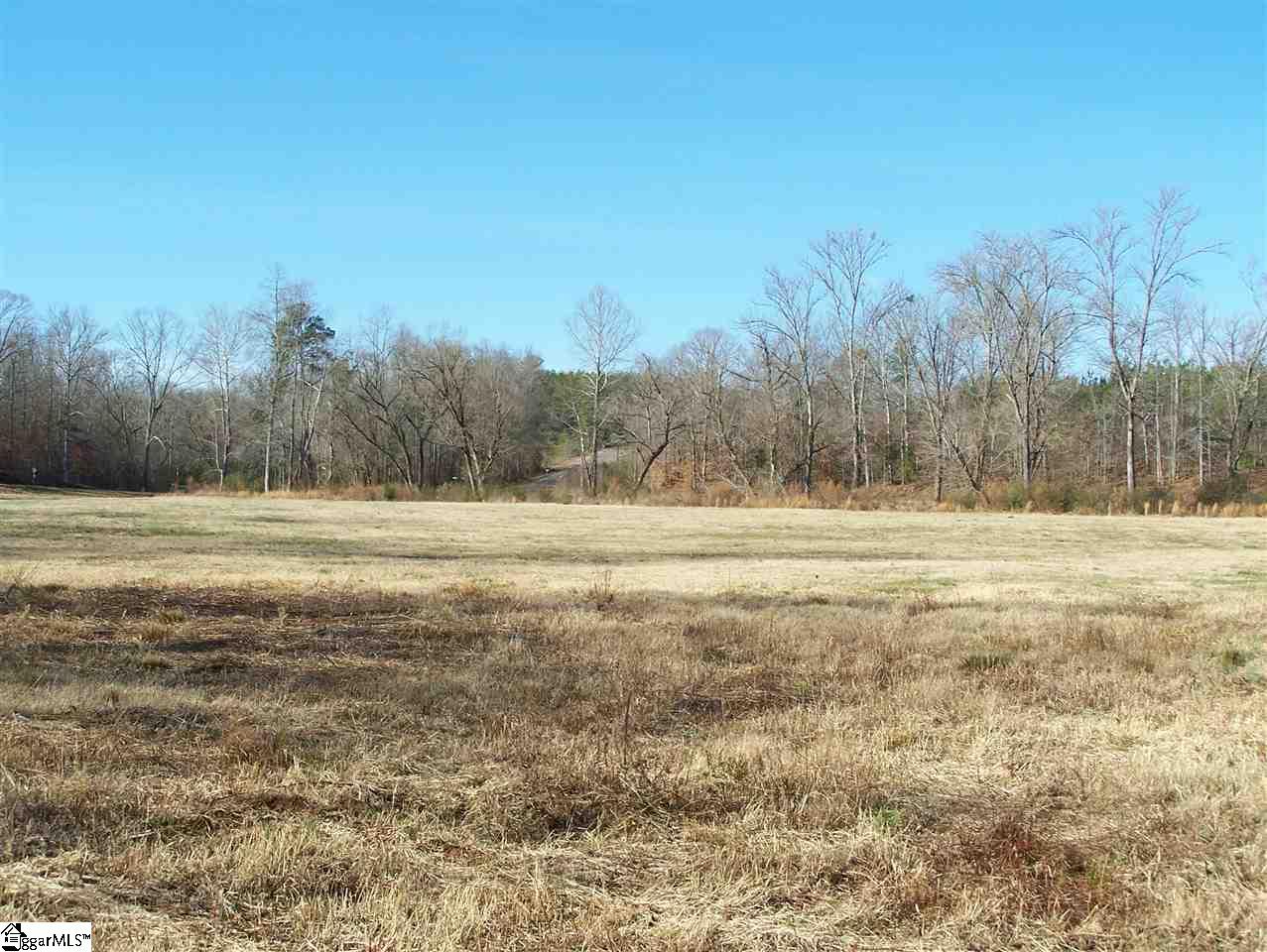 Stewart Dairy Road Fountain Inn, SC 29644 - Photo 9 of 36 Gallery Image 9