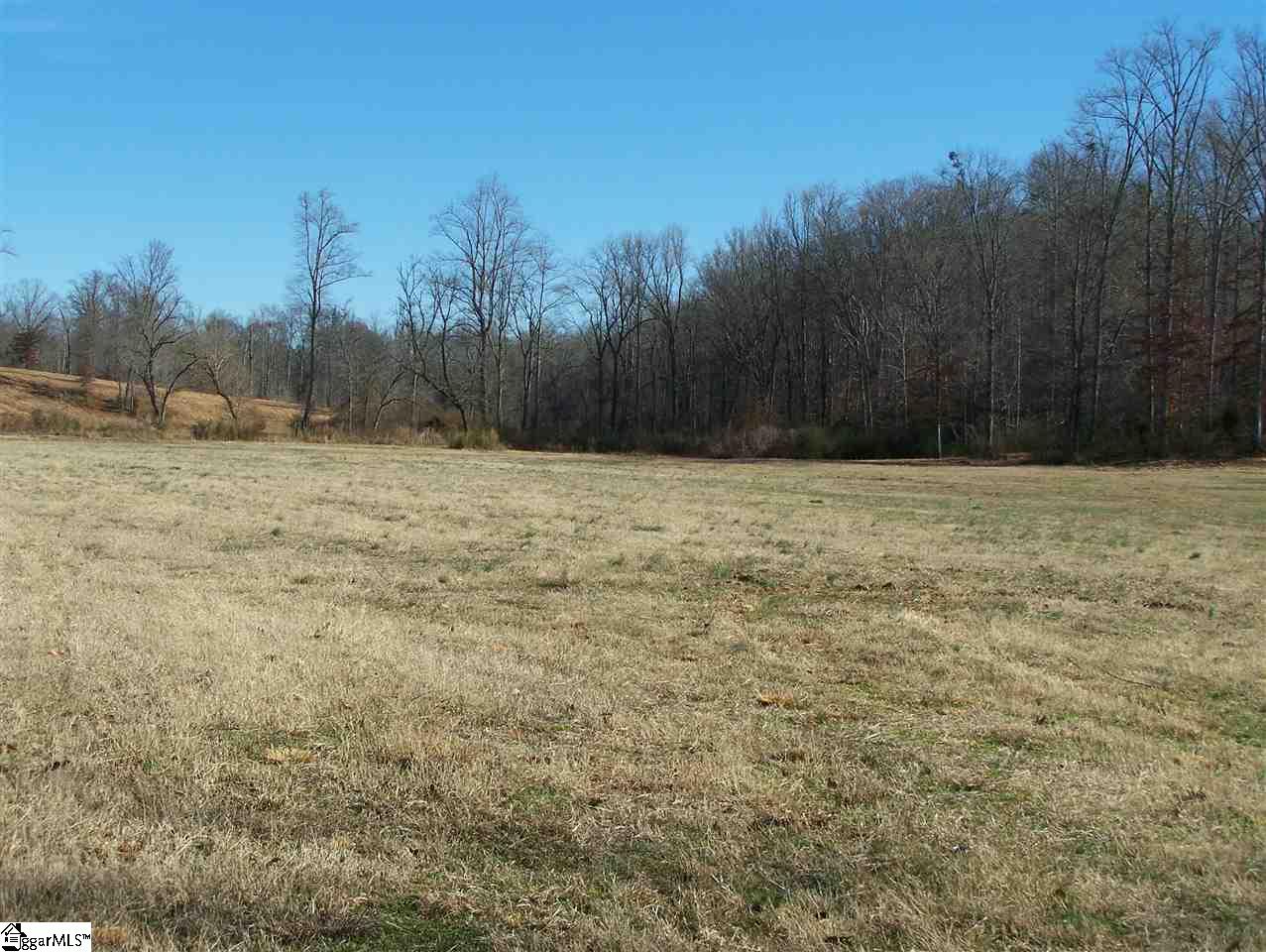 Stewart Dairy Road Fountain Inn, SC 29644 - Photo 10 of 36 Gallery Image 10