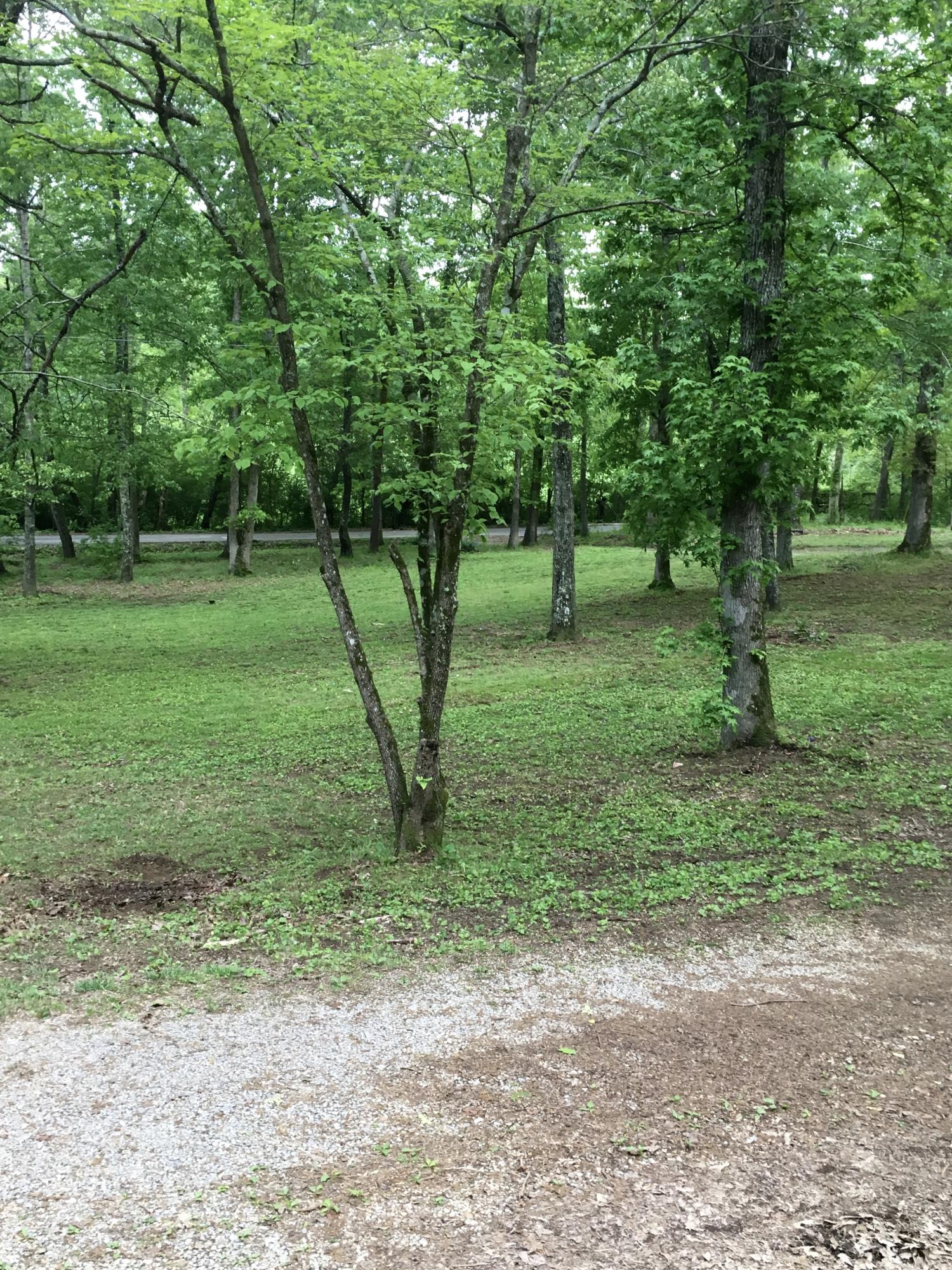 587 Nantt Road Whitwell, TN 37397 - Photo 14 of 17 IMG_4701