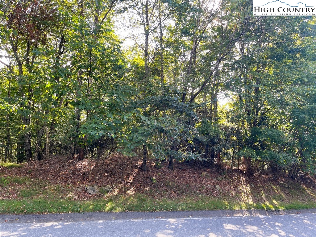 315 Pinnacle Ridge Road Beech Mountain, NC 28604 - Photo 5 of 6 a view of a forest