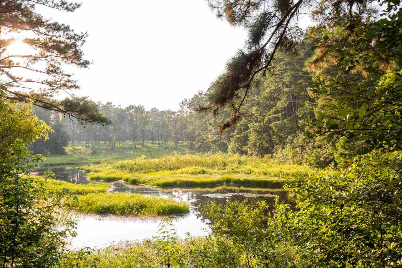 1021 Ridge Road Monticello, FL 32344 - Photo 23 of 34 Gallery Image 23