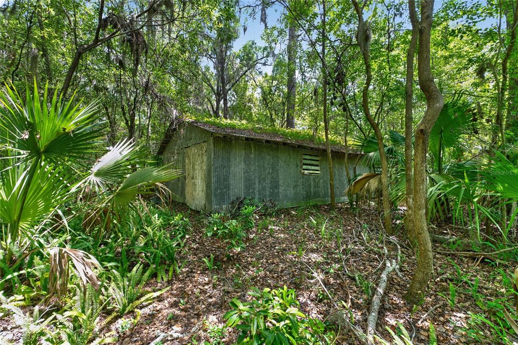 5725 Northwest 219th Street Road Micanopy, FL 32667 - Photo 6 of 17