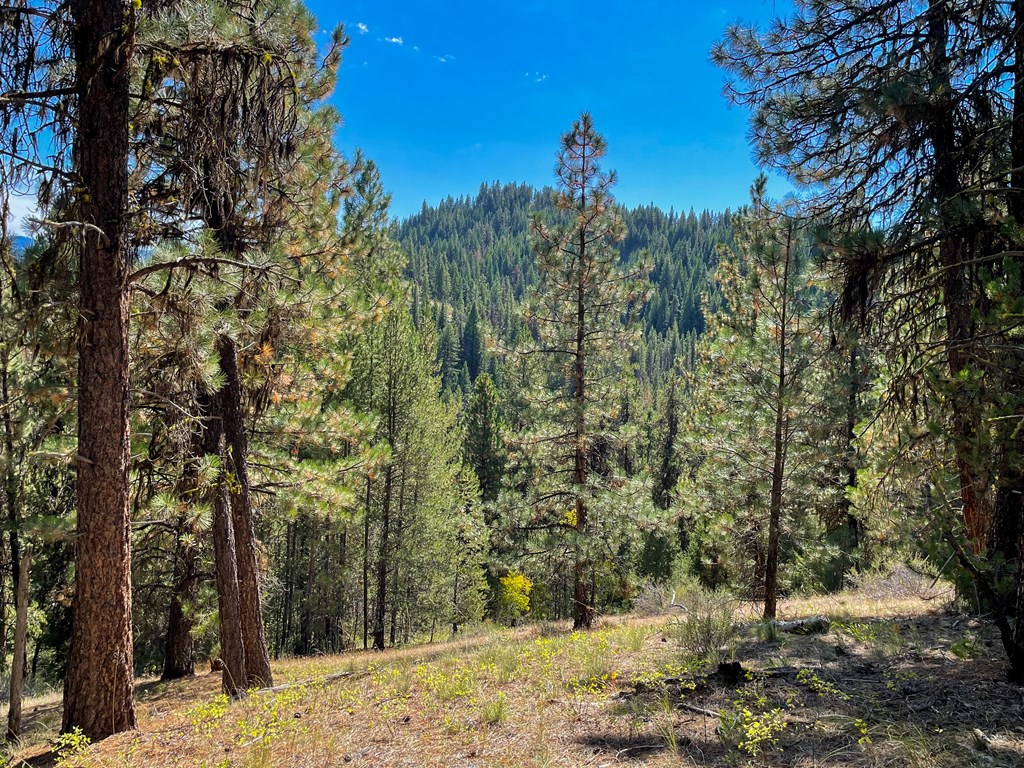 1-2 Horsethief Road Cascade, ID 83611 - Photo 2 of 9