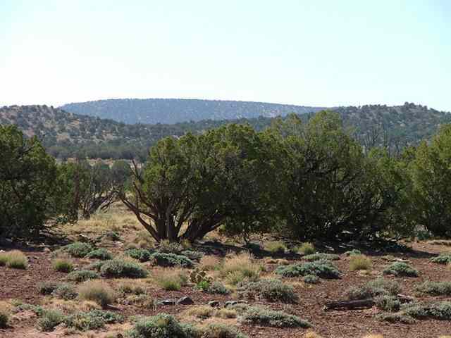 3873 Apache Road Snowflake, AZ 85937 - Photo 1 of 5