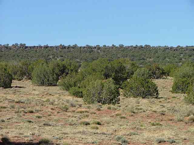 3873 Apache Road Snowflake, AZ 85937 - Photo 2 of 5
