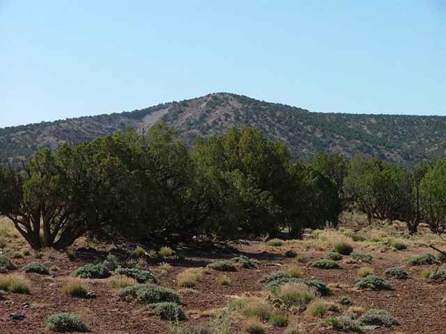 3873 Apache Road Snowflake, AZ 85937 - Photo 3 of 5