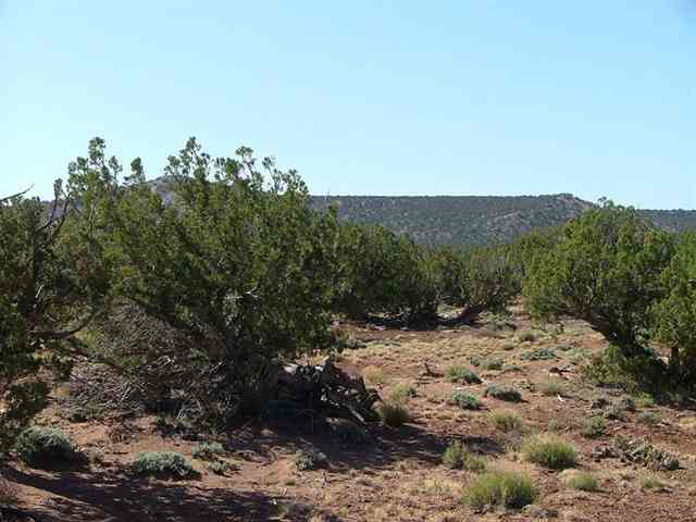 3873 Apache Road Snowflake, AZ 85937 - Photo 5 of 5