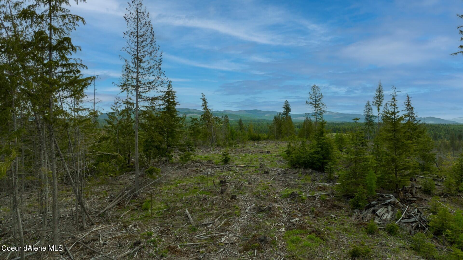 Lot 10 Sportsman Rd Street St. Maries, ID 83861 - Photo 1 of 1 0031