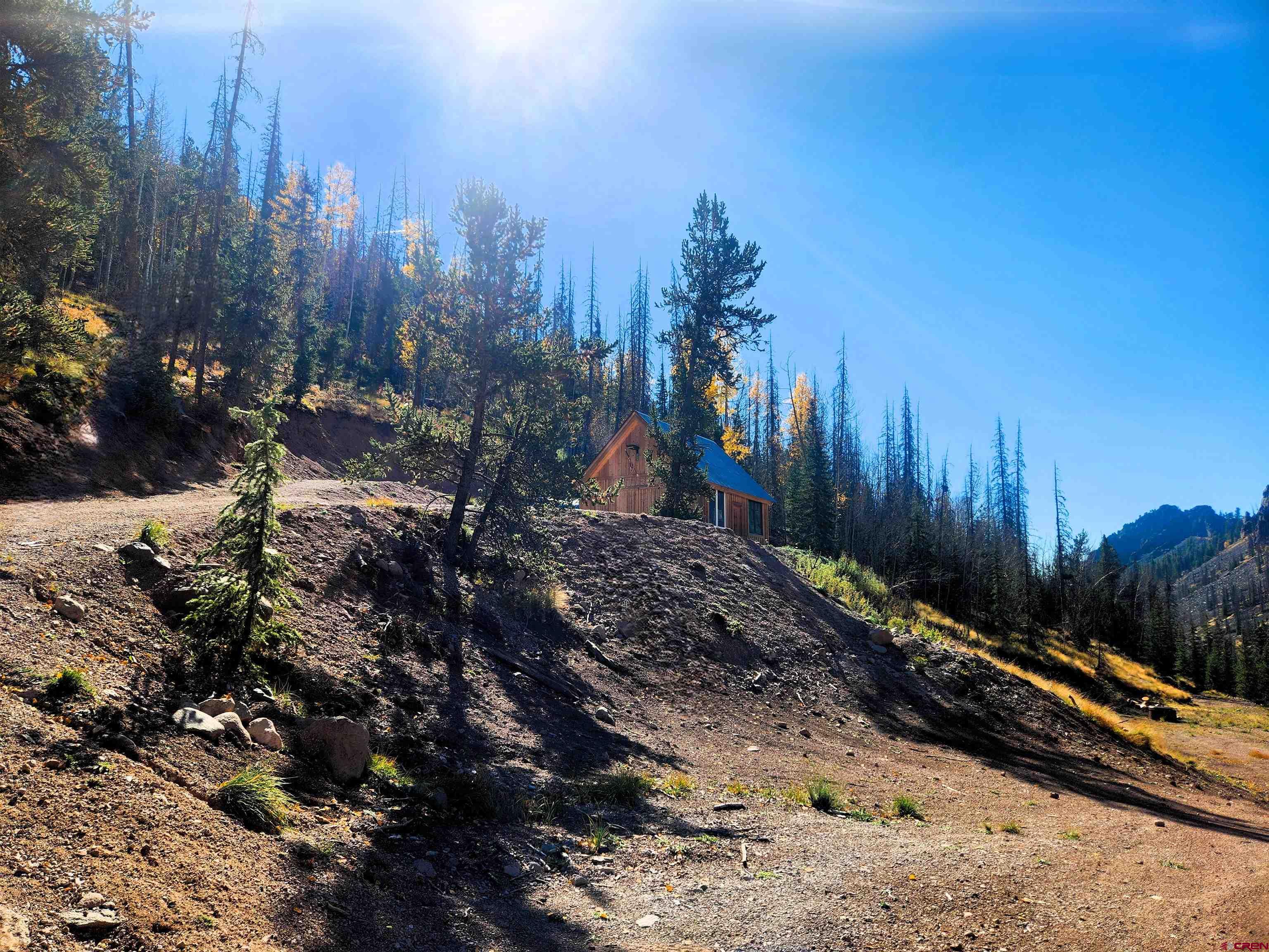 2540 Usfs Road Creede, CO 81130 - Photo 12 of 35 a view of a covered with trees