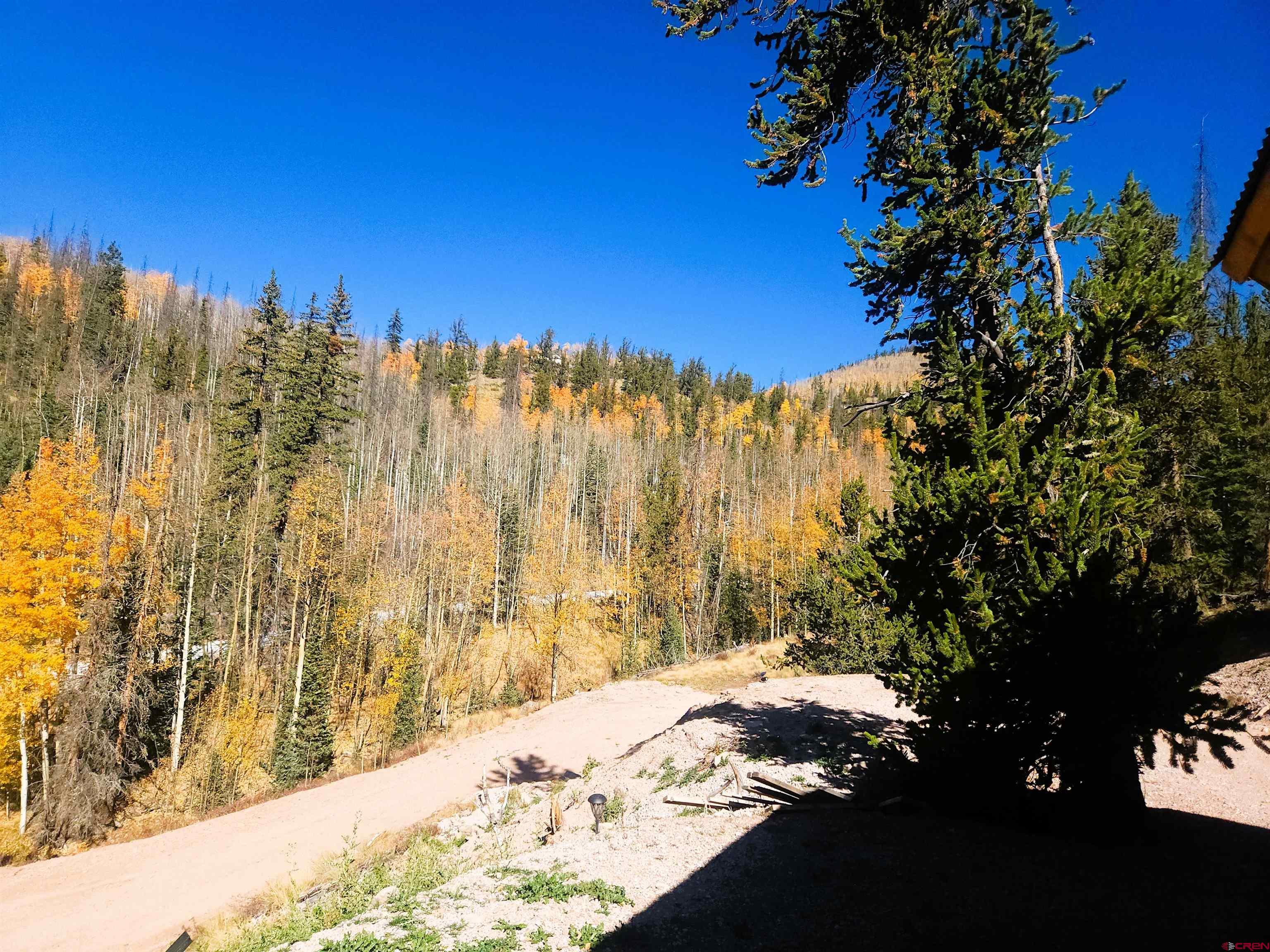 2540 Usfs Road Creede, CO 81130 - Photo 13 of 35 a view of a yard