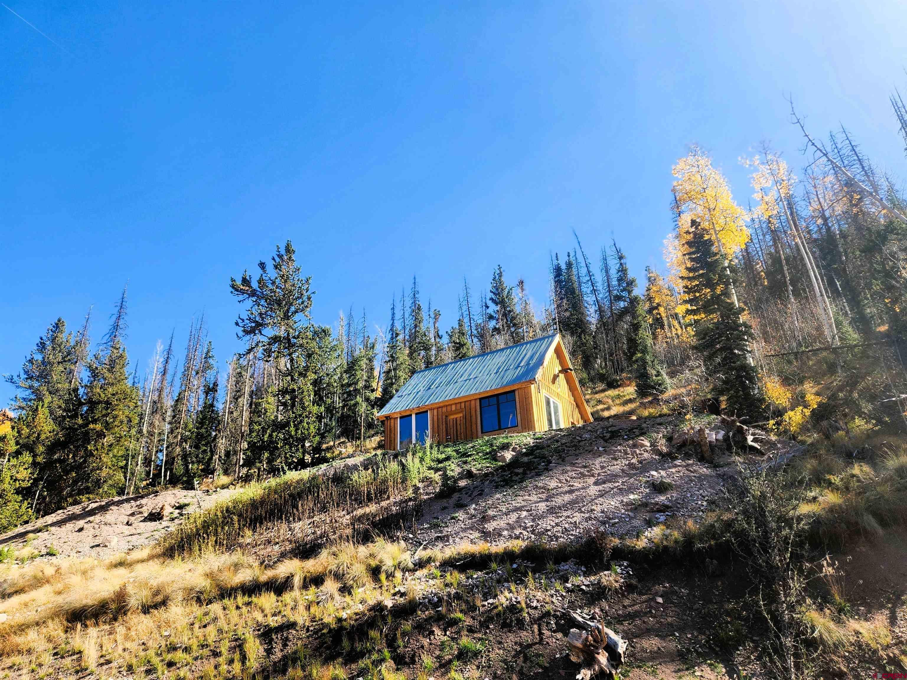 2540 Usfs Road Creede, CO 81130 - Photo 2 of 35 a view of a house with a yard and sitting area
