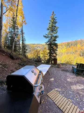 a view of a yard with a tree