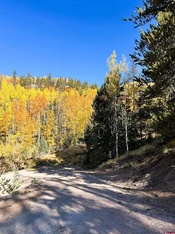 $375,000 | 2540 Usfs Road, Creede, CO 81130