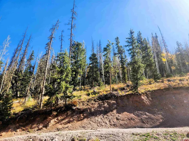 $375,000 | 2540 Usfs Road, Creede, CO 81130