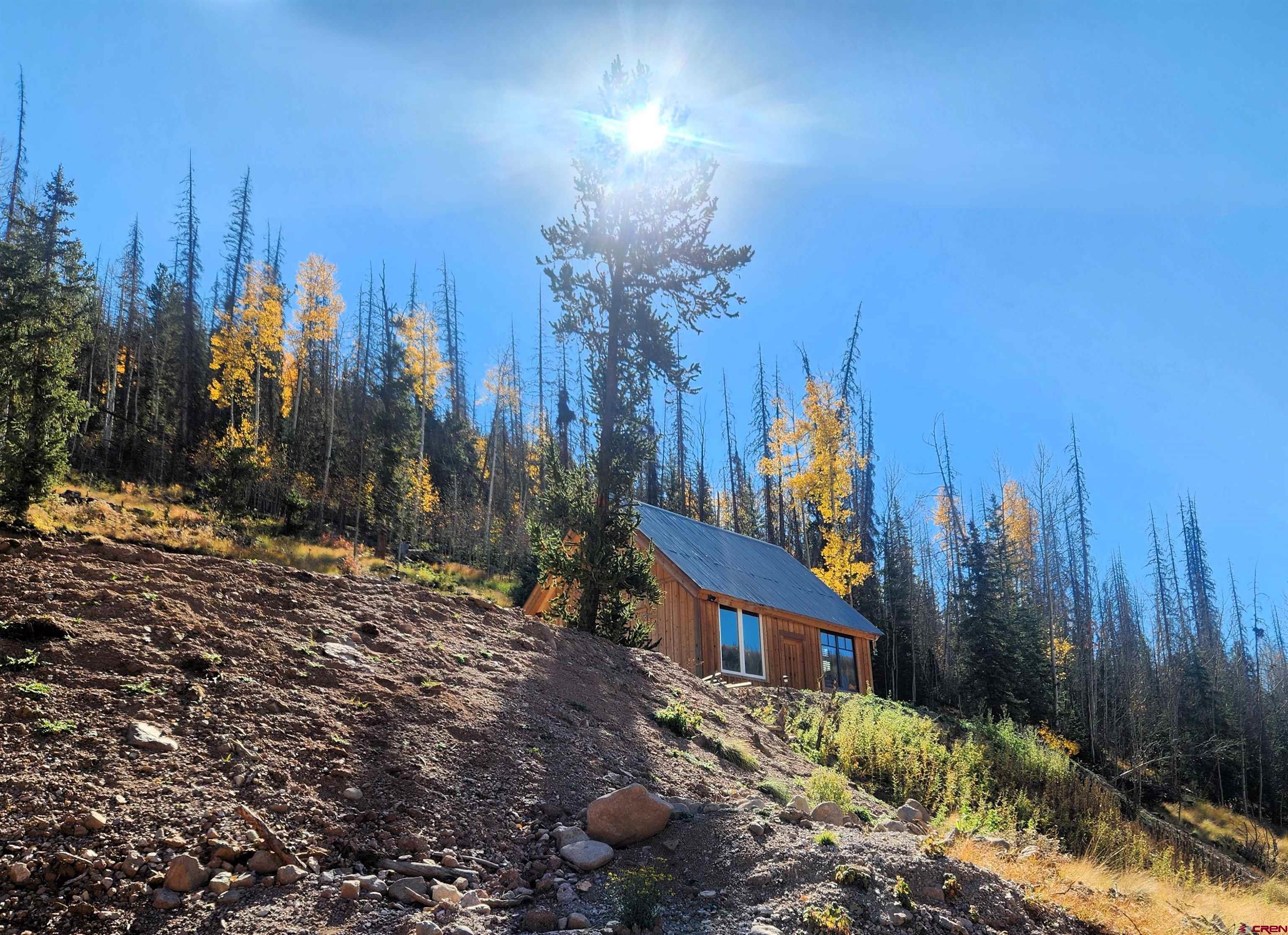 2540 Usfs Road Creede, CO 81130 - Photo 4 of 35 a view of a house with a yard and trees
