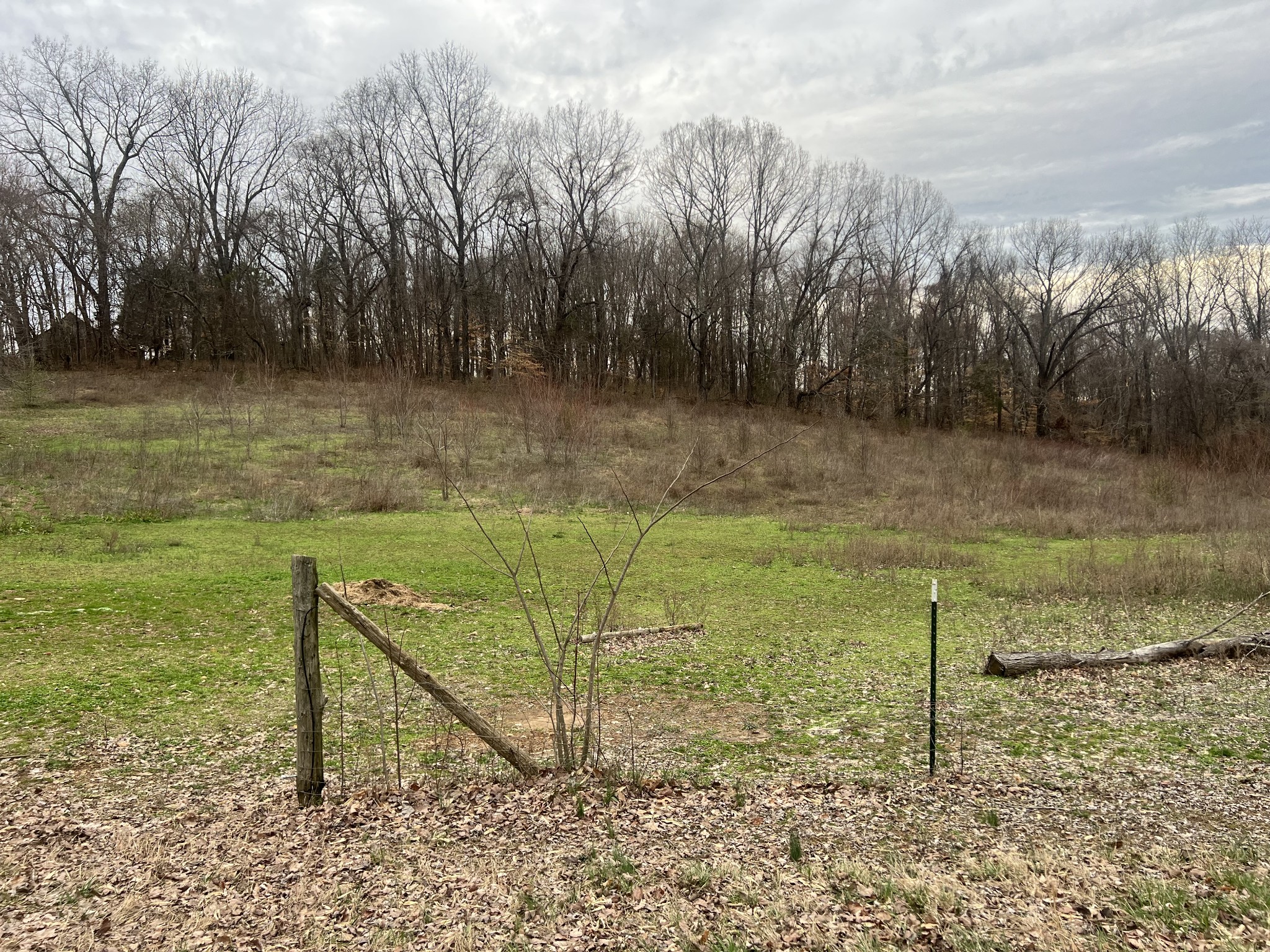 3714 Black Road Springfield, TN 37172 - Photo 6 of 11 a view of a bench in a lake