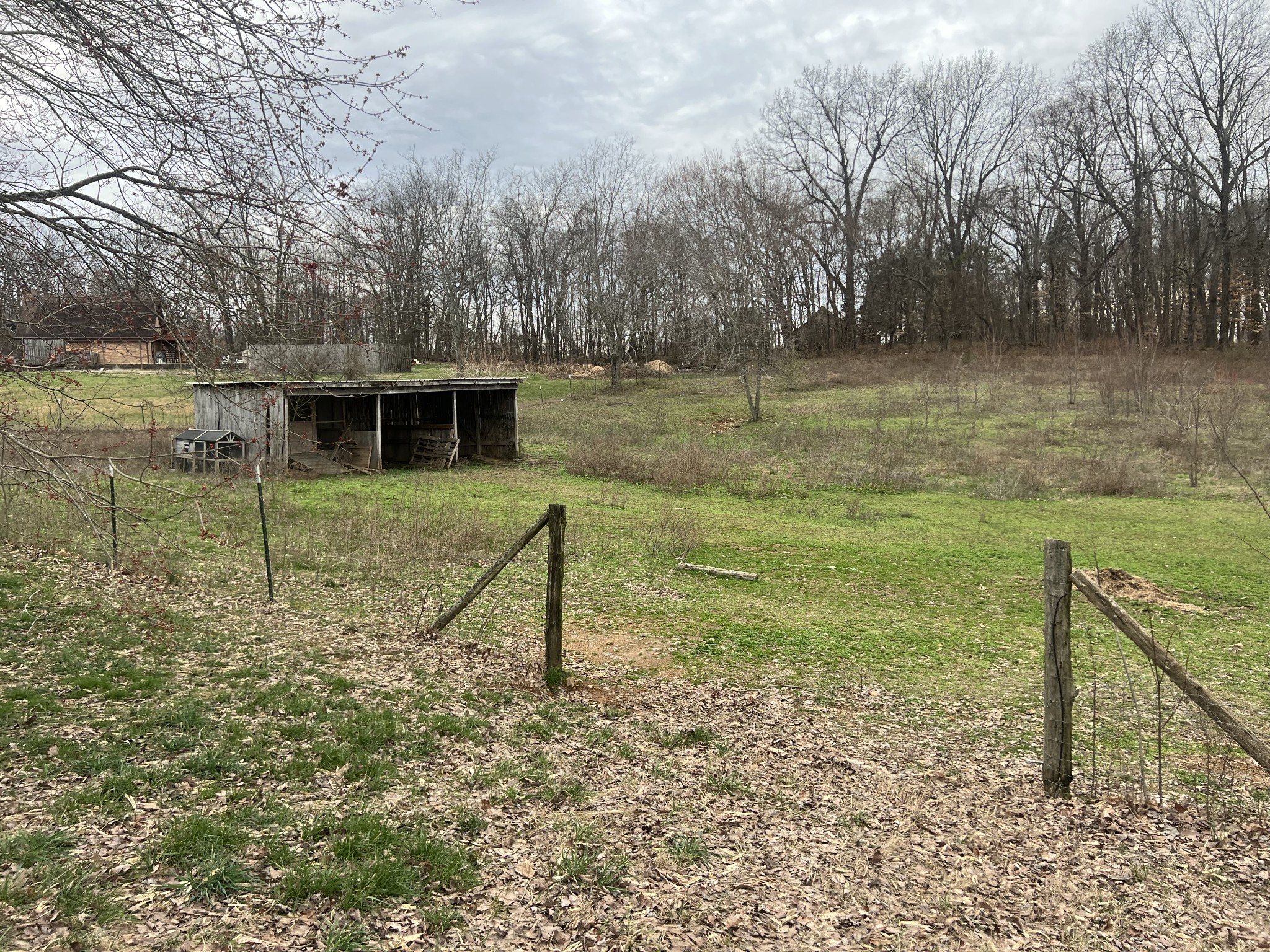 3714 Black Road Springfield, TN 37172 - Photo 7 of 11 a backyard of a house with lots of green space