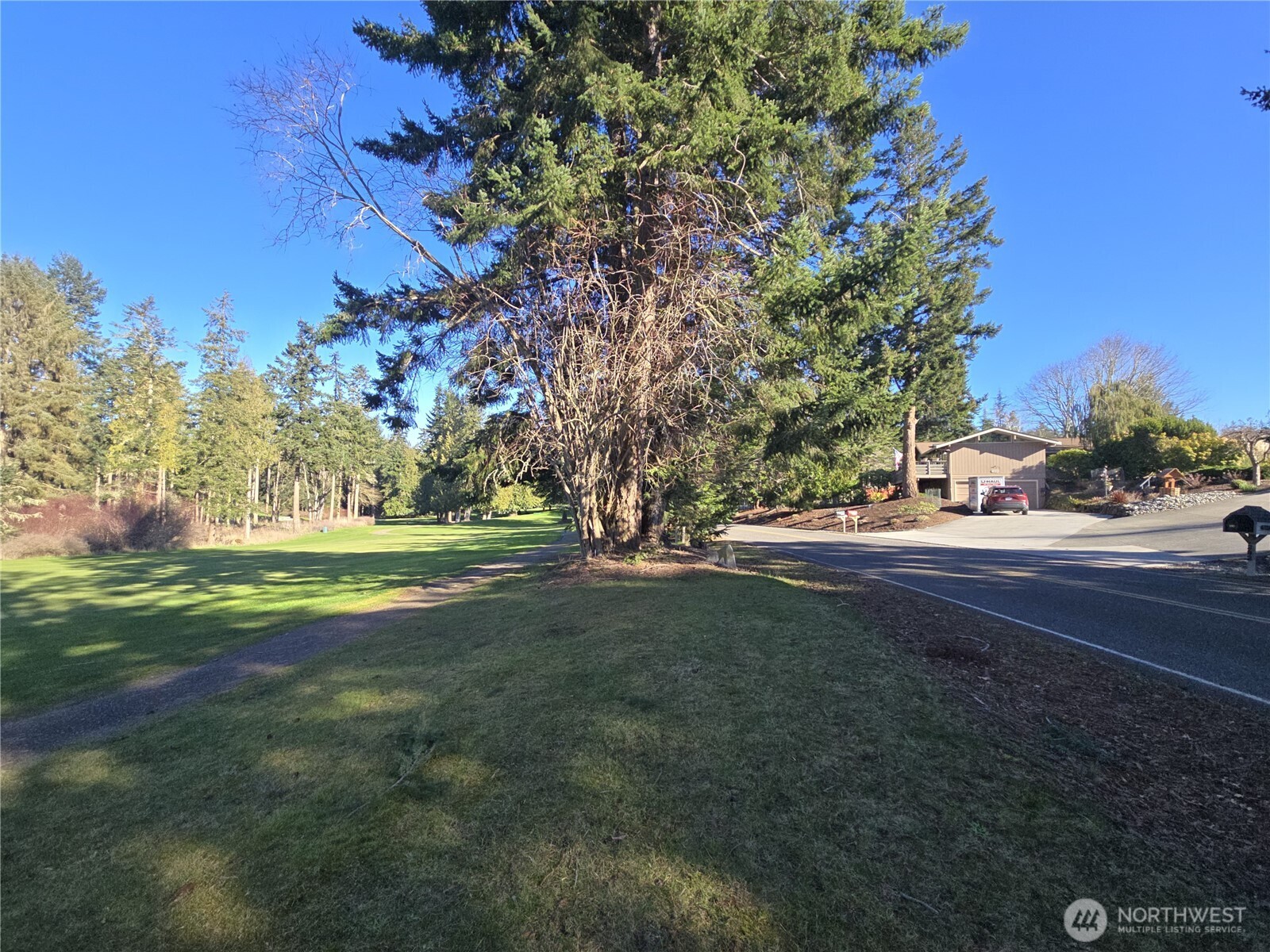 296 Taylor Boulevard Sequim, WA 98382 - Photo 3 of 29 a view of road and trees