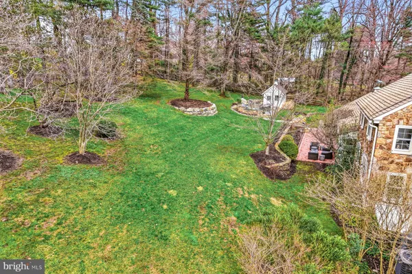 a view of a garden with trees