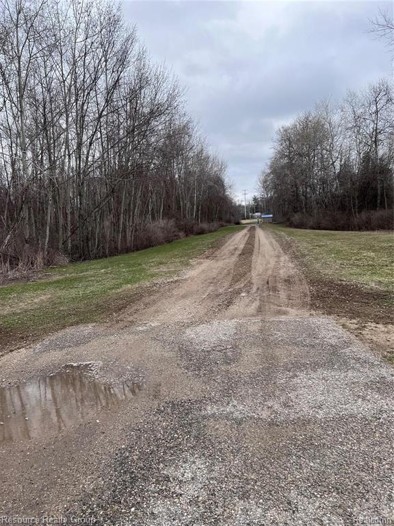 5239 North Coleman Road Coleman, MI 48618 - Photo 2 of 2