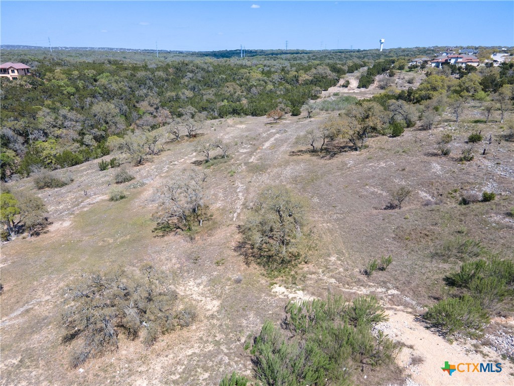 5922 Colin Ridge New Braunfels, TX 78132 - Photo 17 of 32 a view of a dry yard with trees