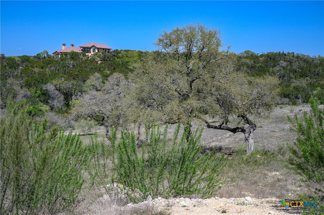 5922 Colin Ridge New Braunfels, TX 78132 - Photo 19 of 32 a view of a lake with a mountain in the background