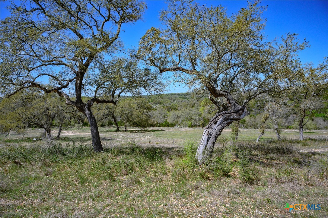 5922 Colin Ridge New Braunfels, TX 78132 - Photo 23 of 32 a view of a yard with a tree