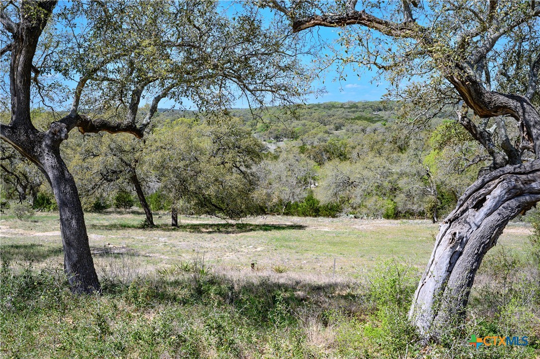 5922 Colin Ridge New Braunfels, TX 78132 - Photo 24 of 32 a view of a yard with a tree