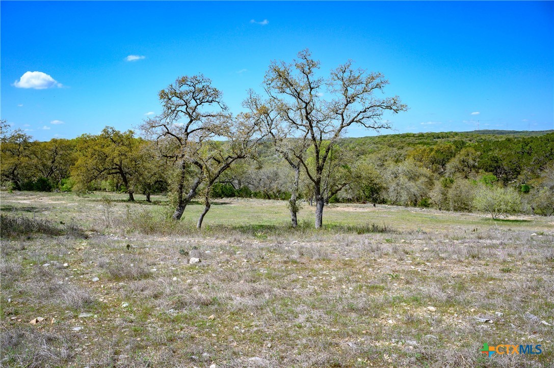 5922 Colin Ridge New Braunfels, TX 78132 - Photo 25 of 32 a view of a yard with a tree