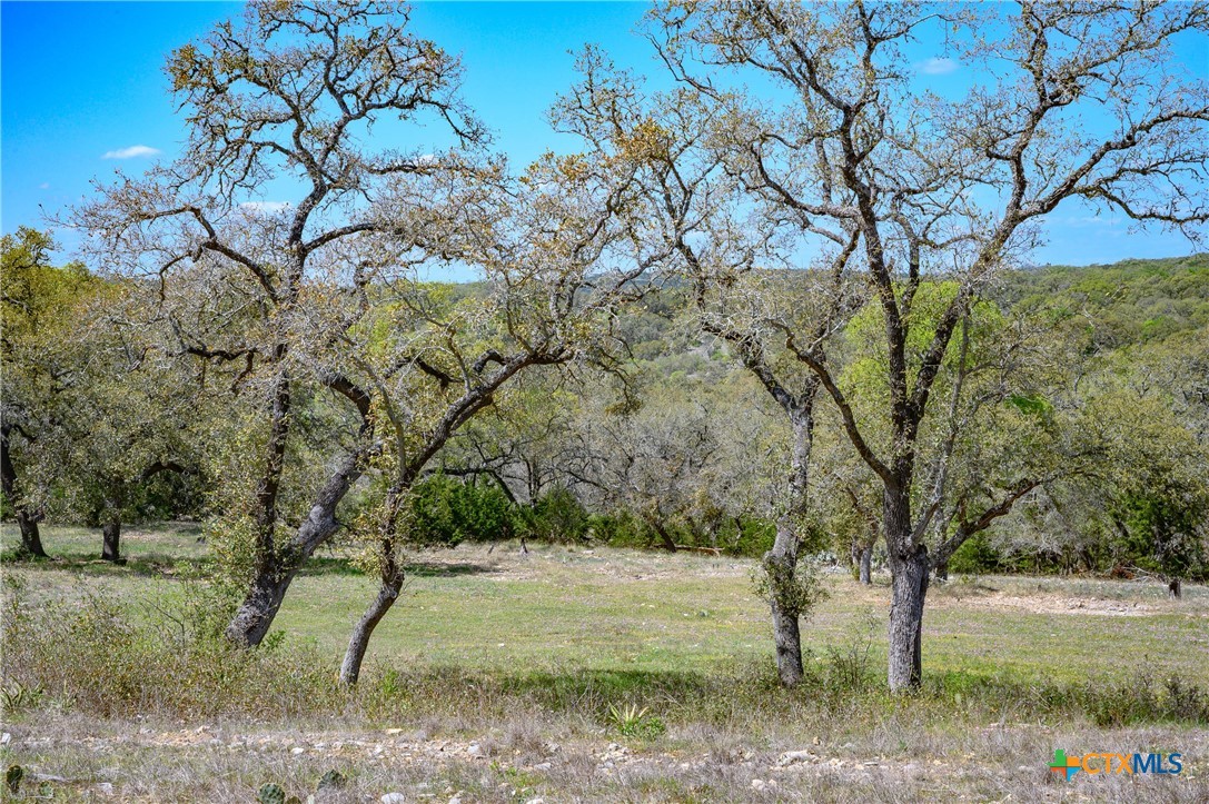 5922 Colin Ridge New Braunfels, TX 78132 - Photo 26 of 32 a view of backyard with green space