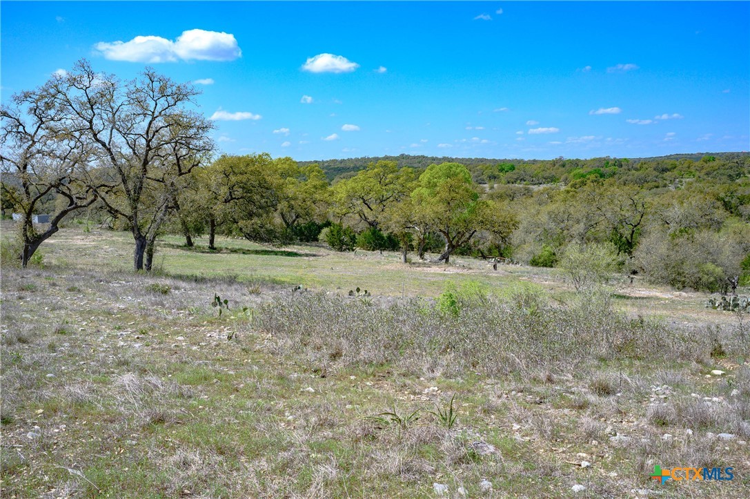5922 Colin Ridge New Braunfels, TX 78132 - Photo 27 of 32 a view of outdoor space and yard