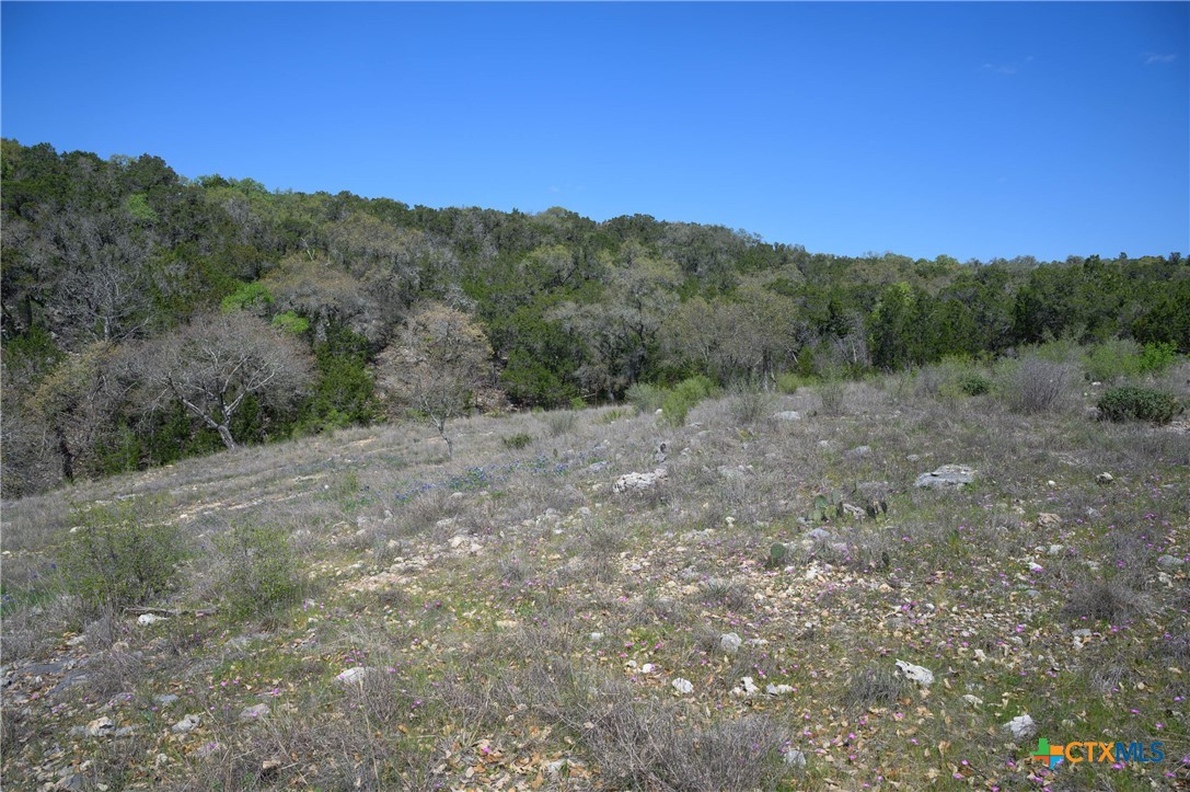 5922 Colin Ridge New Braunfels, TX 78132 - Photo 31 of 32 a view of a valley