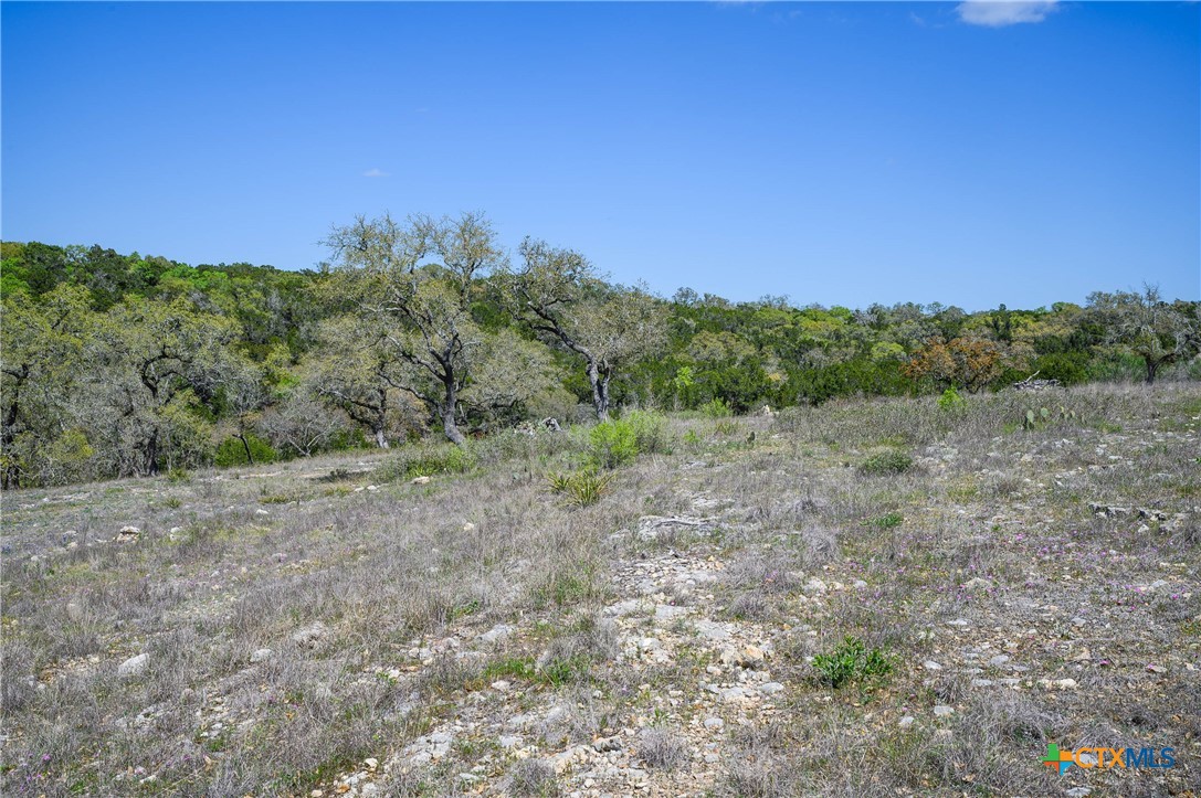 5922 Colin Ridge New Braunfels, TX 78132 - Photo 32 of 32 a view of a field with trees in the background